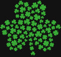shamrock
